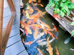 -上海大自然野生昆虫馆