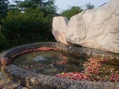 -金孔雀温泉旅游度假村