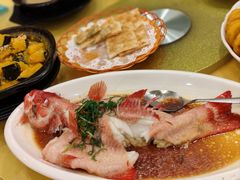 清蒸东星斑-新群海鲜酒楼