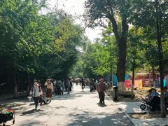 -长白岛森林公园