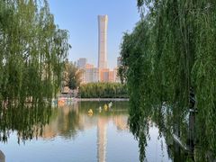 -团结湖公园