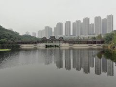-重庆彩云湖湿地公园