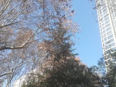 -西安石油大学(雁塔校区)
