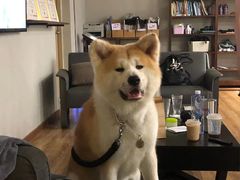 -YCHL Studios健身工作室(市二宫店)
