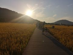 -风云岭森林公园