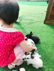 -萌宠亲子动物乐园(槐房万达店)