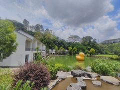 -谷丰健康凤贤居酒家