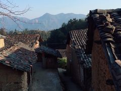 -杨家堂村