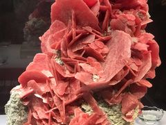 -湖南省地质博物馆