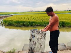 -蟹道河蟹大米商行