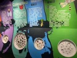 -七巧国萌宠乐园(龙湖天街店)