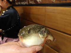 -永安鱼庄·镇江菜(丁卯店)