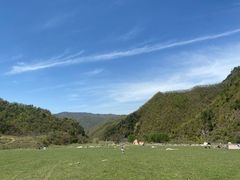 -狮子沟牧场