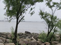 -上海吴淞炮台湾国家湿地公园