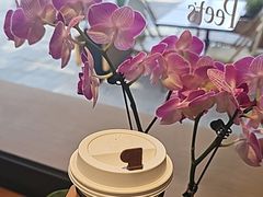 -Peet's Coffee皮爷咖啡(大学路店)