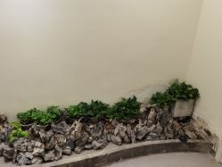 -康颜SPA自然疗愈皮肤管理中心