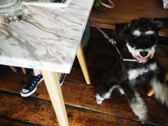 -the rug 飞毯 (朝阳公园店)