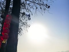 -早酒肖汉老味拌面
