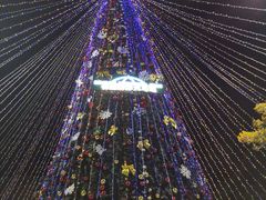 -广州长隆国际大马戏