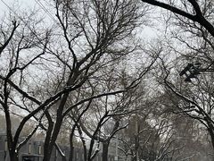 -老梦面包CHEZMOREL(麦子店)