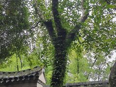 -天一阁博物院