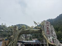 -仙蘑洞