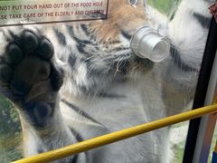 -栾川竹海野生动物园