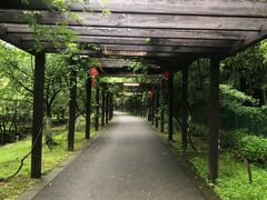 -九龙潭景区