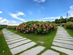 -深圳湾公园(南山区)