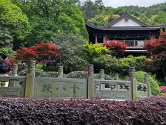 -十八棵（老龙井）御茶园(老龙井店)