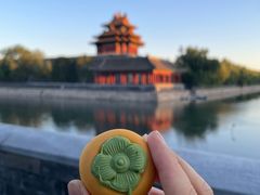 -北京稻香村(零号店)