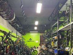 -道路口单车爱瓦士dahon大行