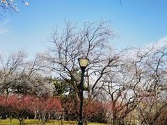 -玲珑塔公园