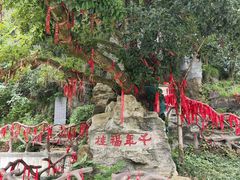 -车溪民俗旅游区