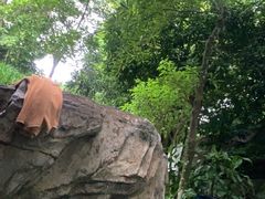 -海口观澜湖火山温泉谷