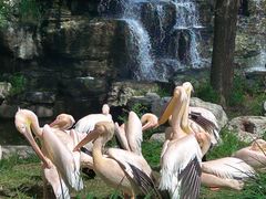 -北京野生动物园