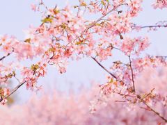 -福建鲤鱼洲酒店