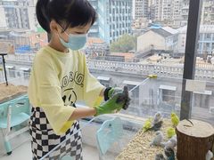 -怪兽屋·羊驼·猫咖·狗咖(俊华广场店)