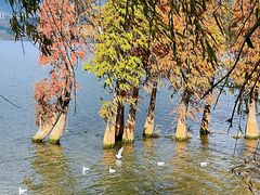 -昆明春城湖畔度假村