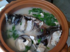 -姜君·千岛湖鱼头馆(浦东大道店)