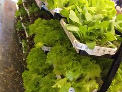 -高老庄绿色传奇(昊元生活广场店)