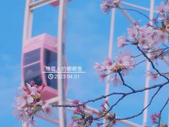 -顾村公园