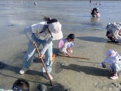 -红树林天天赶海