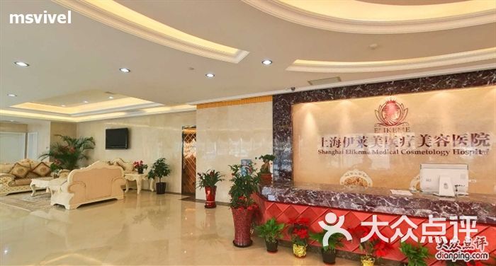 上海排名前十整形医院_上海牙科医院排名前十(3)