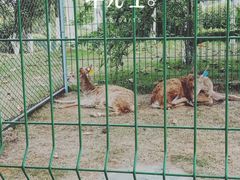 -国色天乡三期陆地乐园