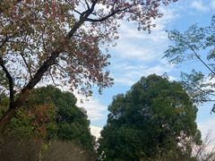 -苏州太湖国家湿地公园