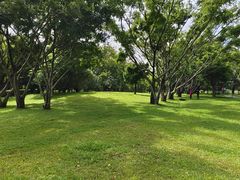 -福田红树林生态公园