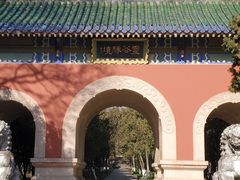 -灵谷景区