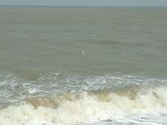 -白沙门生态公园