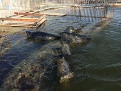 游乐设施-渔岛海洋度假区